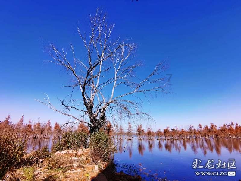 全新高中孩子在家总是玩手机怎么办平台 | 专业有问必答服务